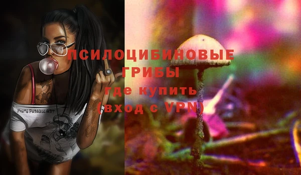 a pvp Аркадак