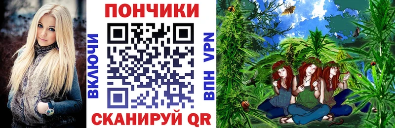 Бошки Шишки план Боготол